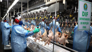 Carne de frango in natura foi o produto mais exportado pelo Paraná em 2022