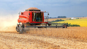 Paraná pode bater recorde histórico na produção de soja