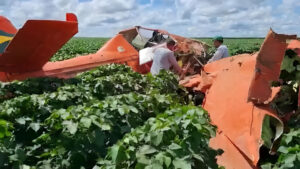 Piloto de avião agrícola sobrevive a queda de aeronave no MT (vídeo)