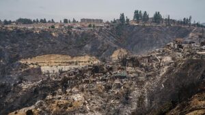 Número de mortos por causa de incêndio no Chile já passa de 100 (Vídeo)