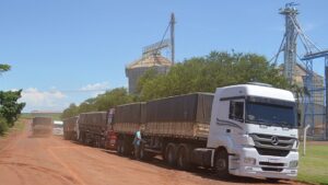 Embarque de grãos em gigante do setor agroindustrial movimenta distrito de Assis Chateaubriand (vídeos e fotos)