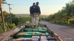 PRF apreende 2, 5 toneladas de maconha na BR- 163, em Mercedes no Paraná (Vídeo)