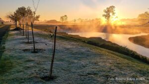 Frio: Palmas registra a menor temperatura do Paraná