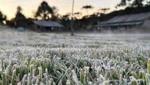 Temperatura extrema e geada são registradas em vários municípios do Parana (Vídeo)