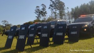 Virou “festa”:Indígenas invadem propriedade nos arredores de Guaíra e mobilizam grande aparato policial (Vídeo)