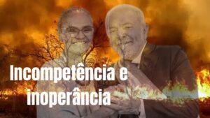 Pantanal registra 1º semestre com mais incêndio nos últimos 26 anos e artistas lacradores “fecham o bico”