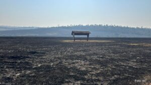 Fogo consome mil hectares de mata em Maria Helena, no PR