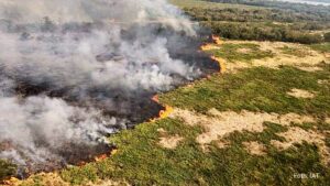 Brasil registra 3.388 focos de incêndio; mês de agosto teve o maior número dos últimos 14 anos (Vídeo)