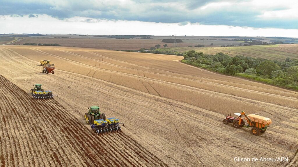 Após vazio sanitário, plantio de soja começa em quase 6 milhões de hectares no Paraná