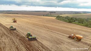 Após vazio sanitário, plantio de soja começa em quase 6 milhões de hectares no Paraná