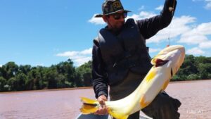 Proibição da pesca predatória na Bacia do Rio Paraná começa nesta sexta-feira