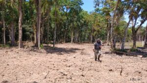 Instituto Água e Terra alerta para o golpe do licenciamento ambiental no Litoral do Paraná