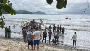 Avião ultrapassa pista de pouso, cruza avenida e explode em praia de Ubatuba, no litoral de SP (Vídeo)